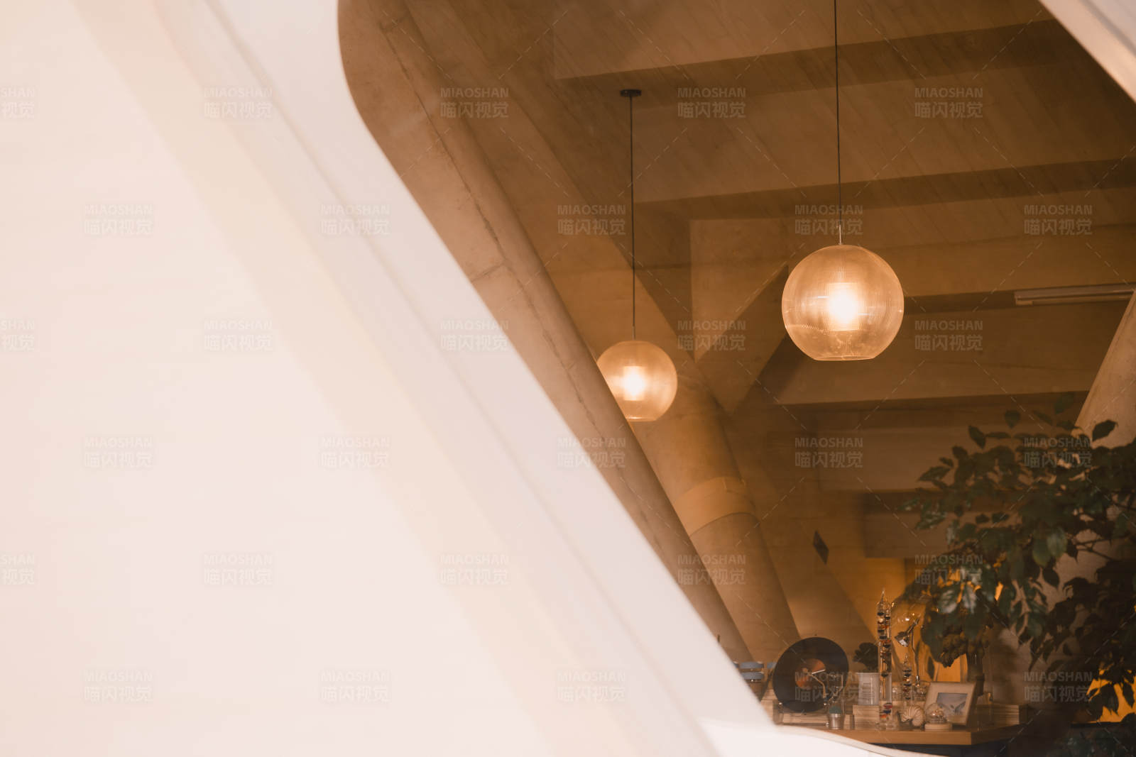 悬挂的灯光与绿植图片