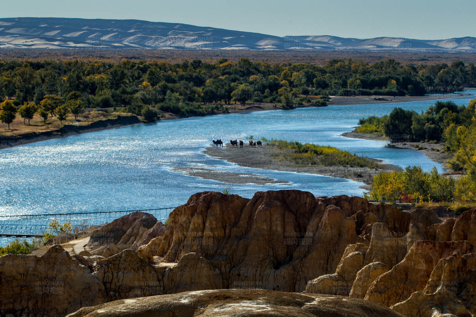 额尔齐斯河的风光图片