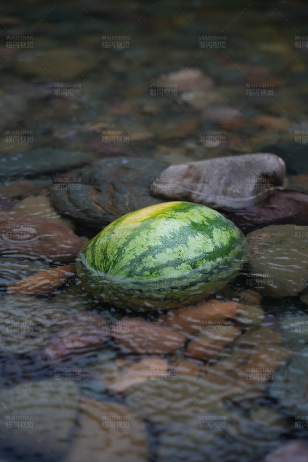 水中西瓜图片