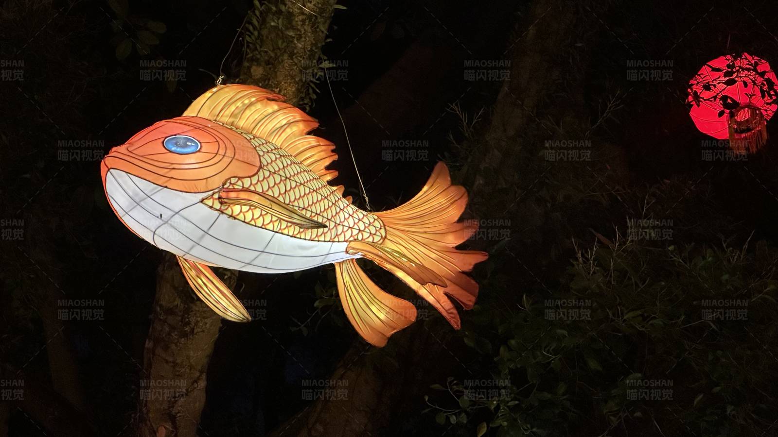 夜空中悬挂的鱼形灯笼图片