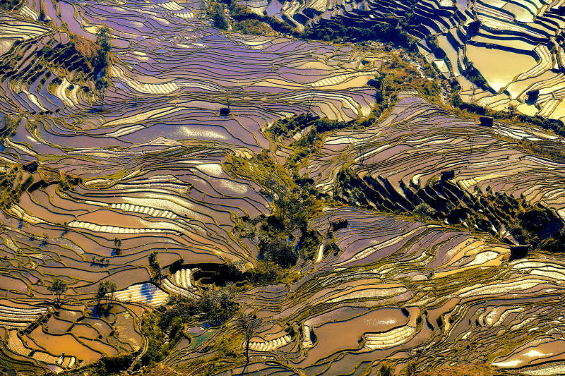 元阳梯田美如画图片