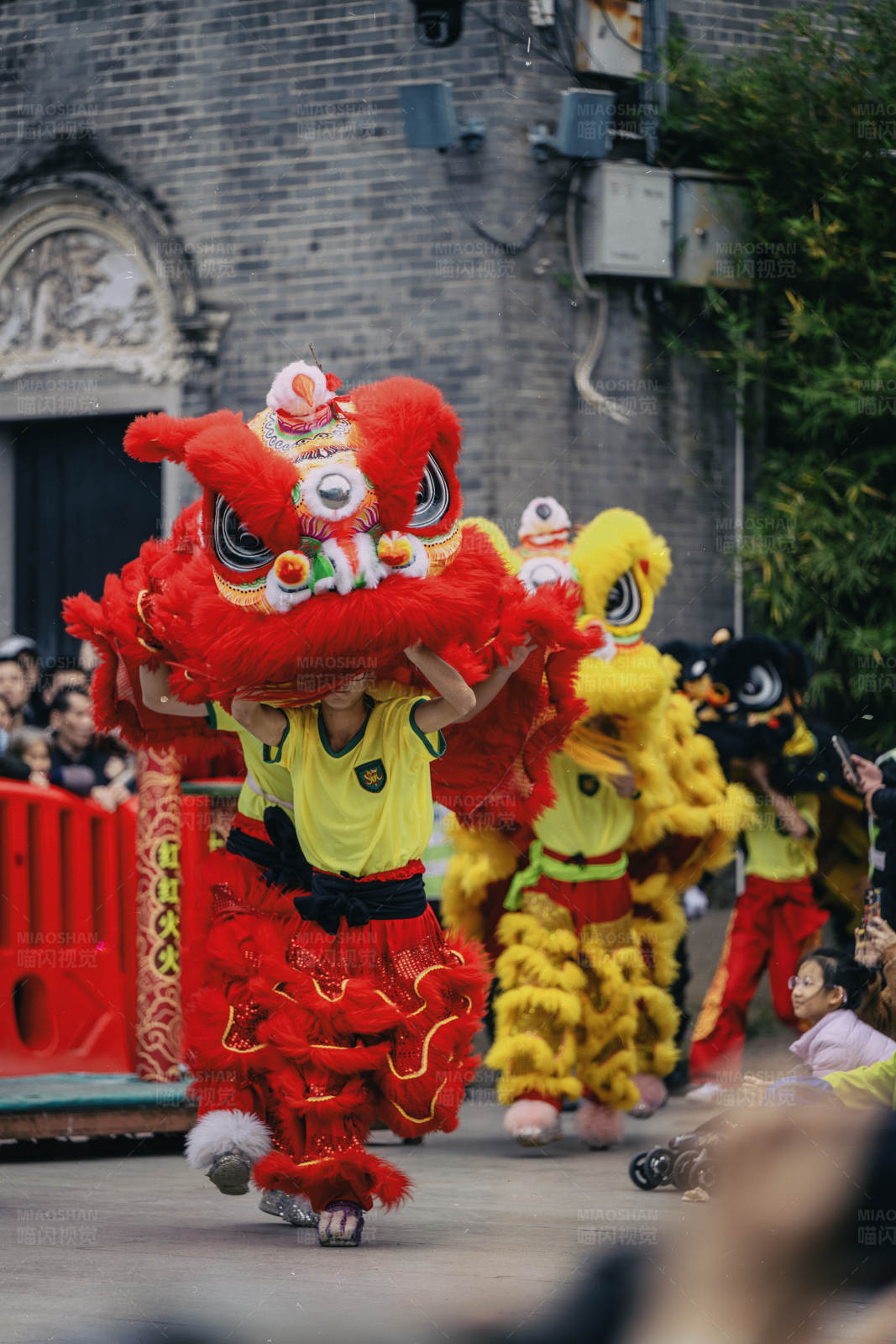 舞狮表演庆佳节图片