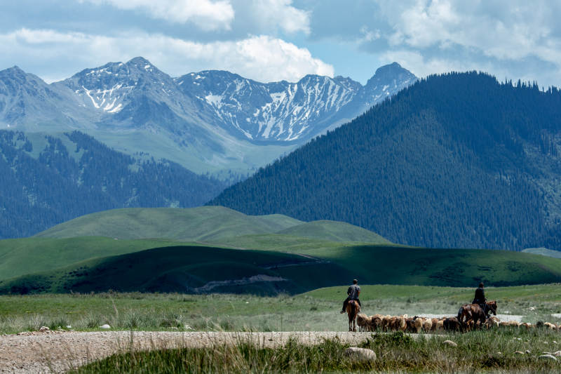 草原上的牧羊人图片
