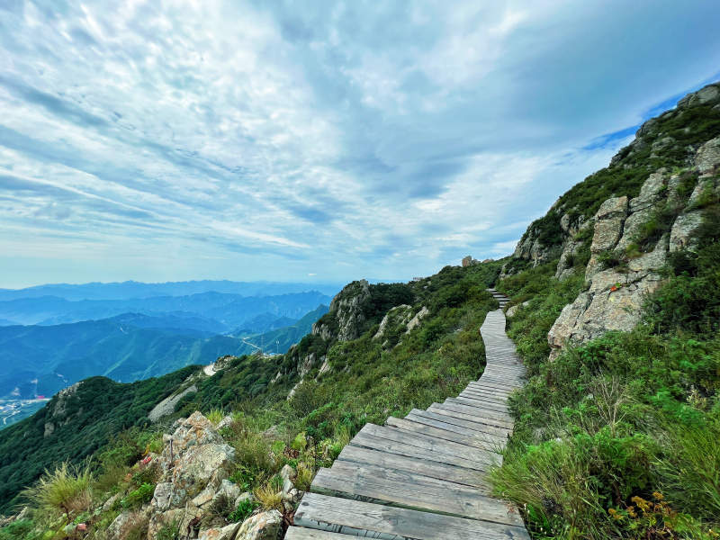 山间木栈道图片