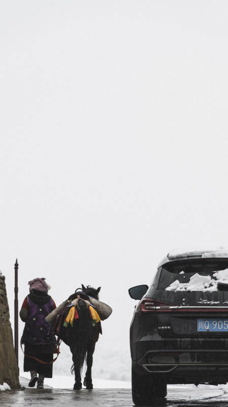 雪中马车与现代汽车图片