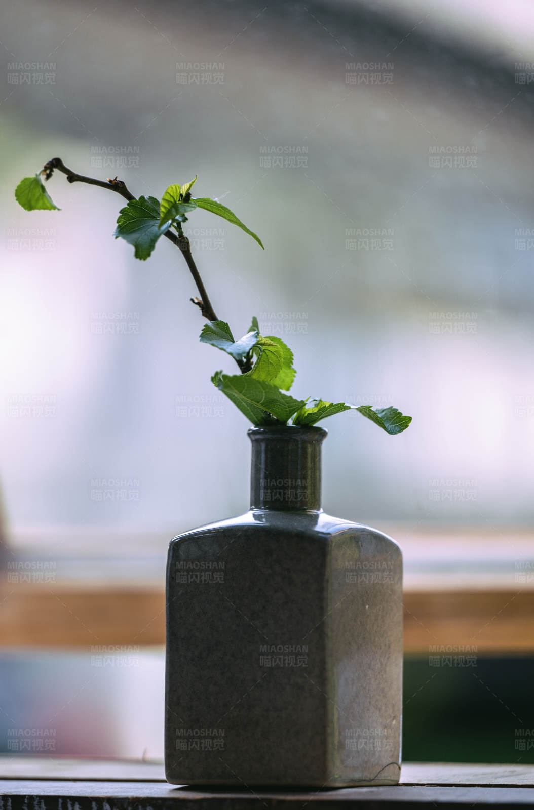 瓶中绿意图片