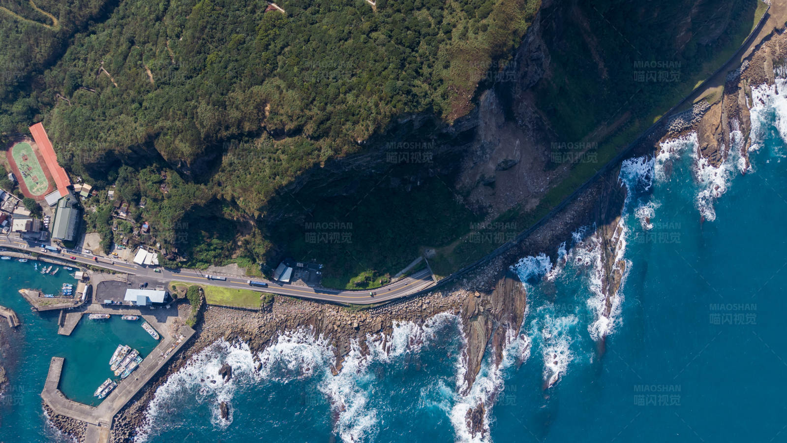 海岸公路与森林图片