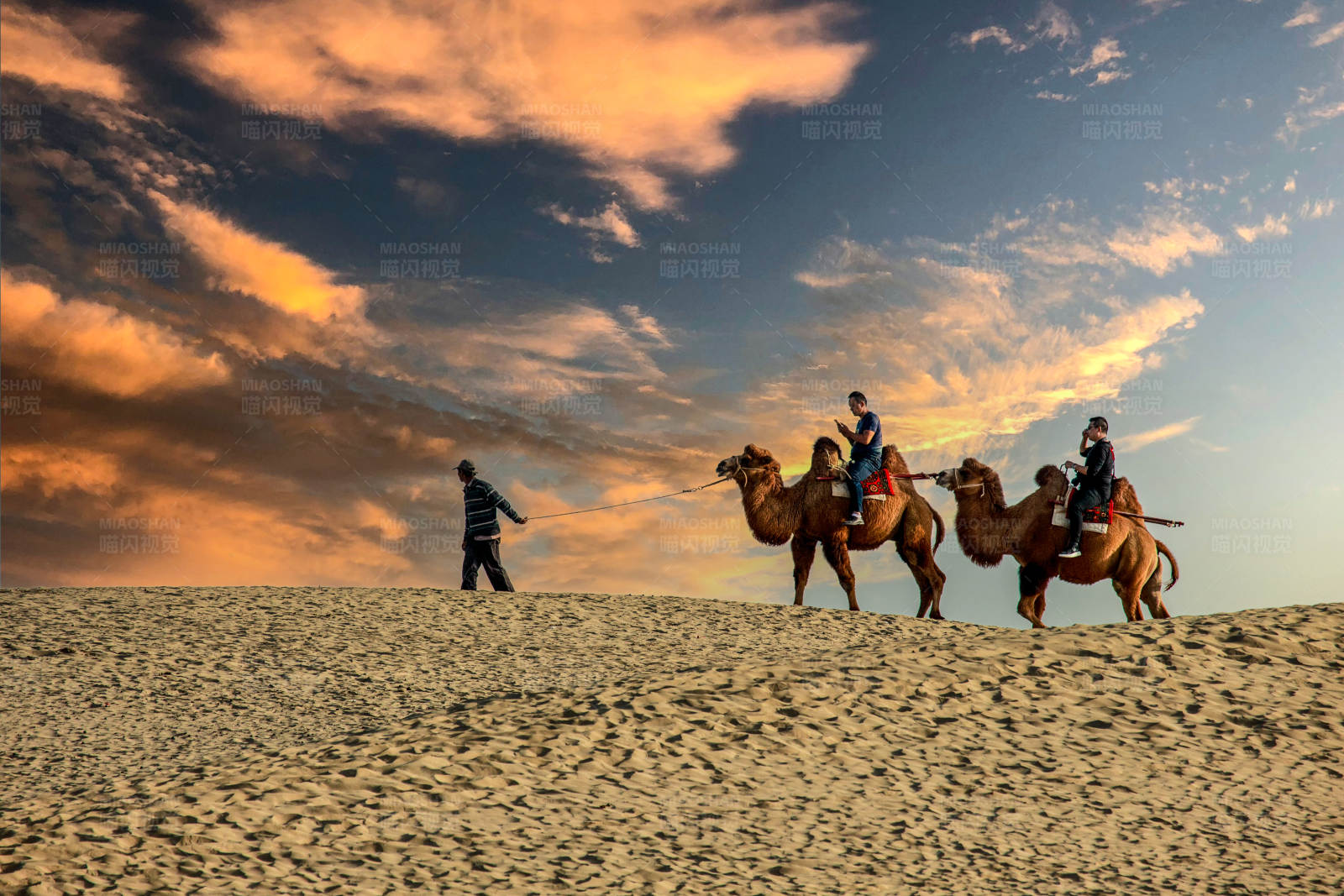 沙漠驼铃声图片