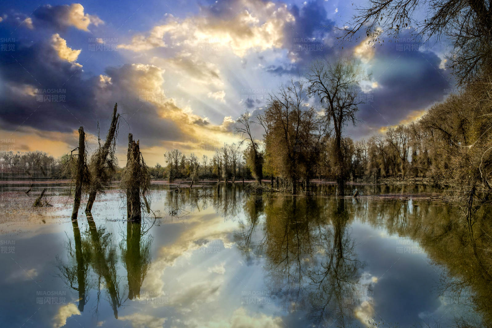 湖光云影 (新疆轮台胡杨林)图片