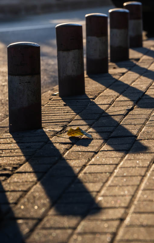 街角的秋叶与影子图片