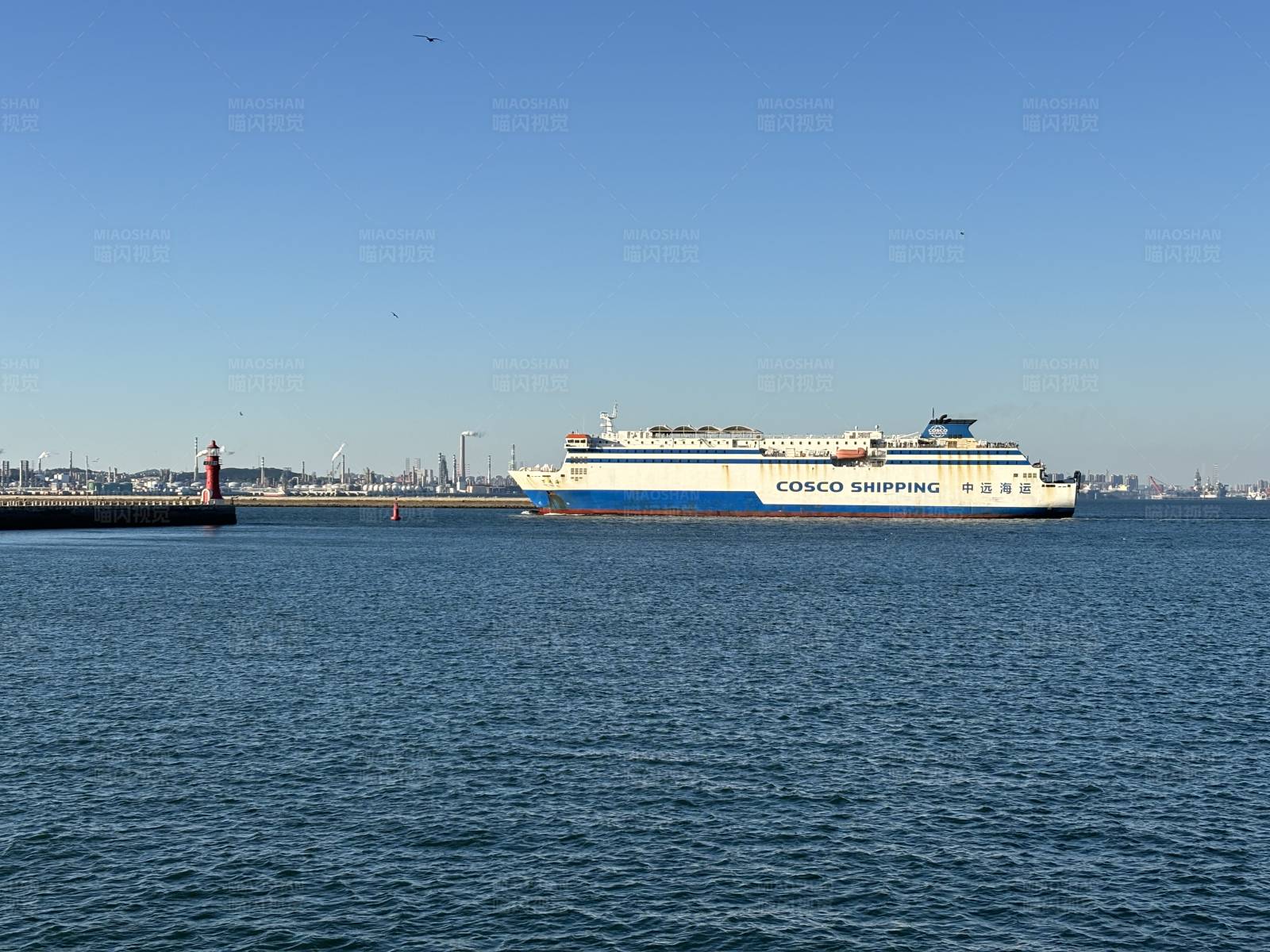 海上的货轮图片