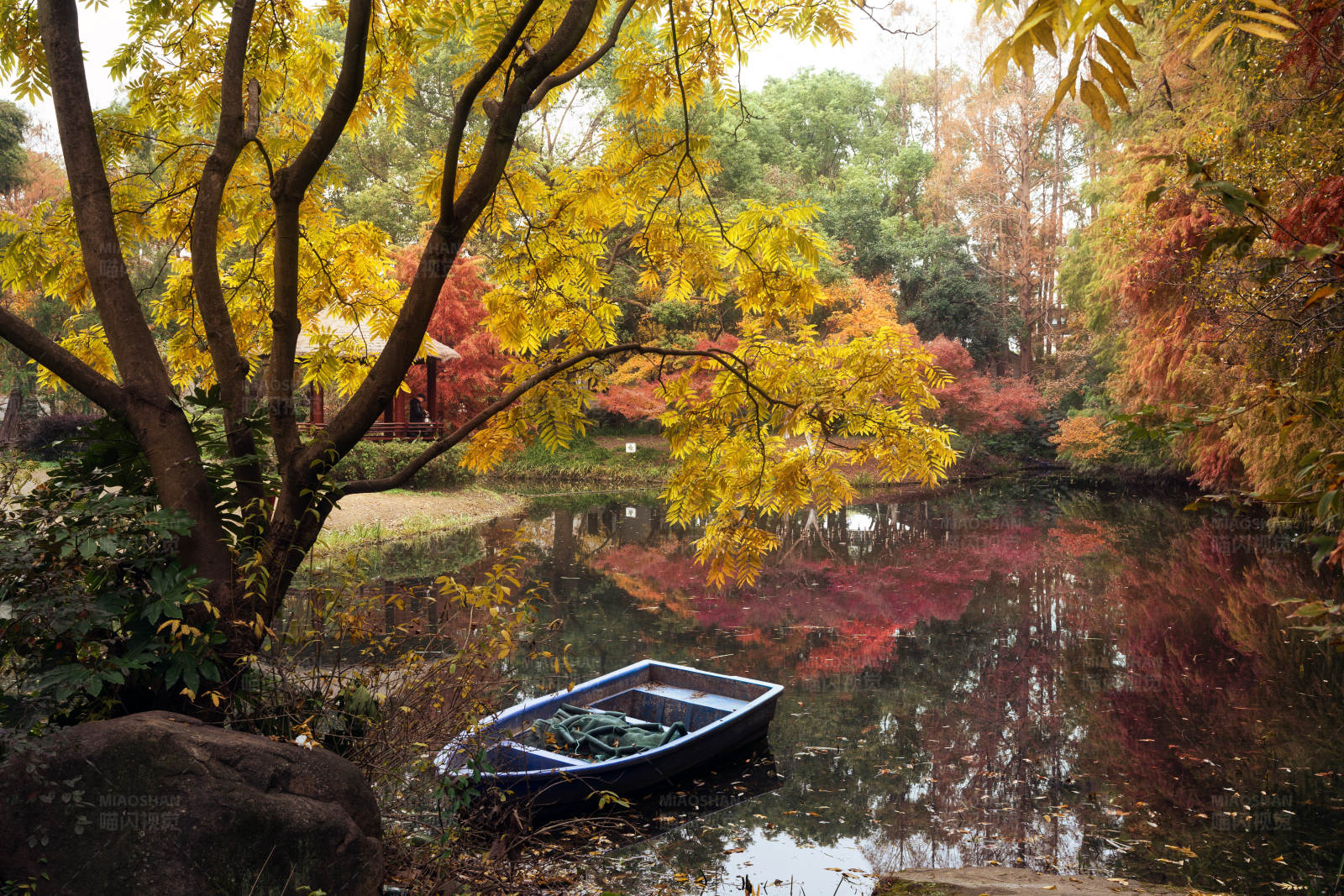 秋日湖畔小船图片