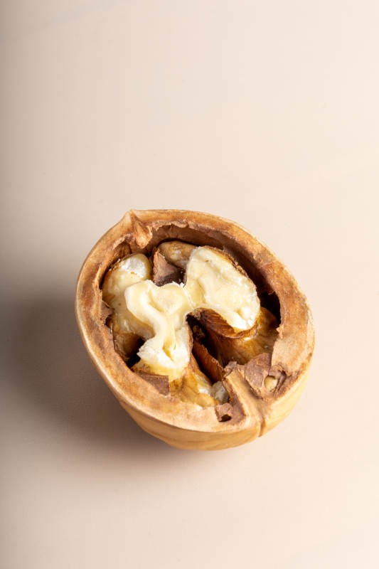 开裂的核桃图片