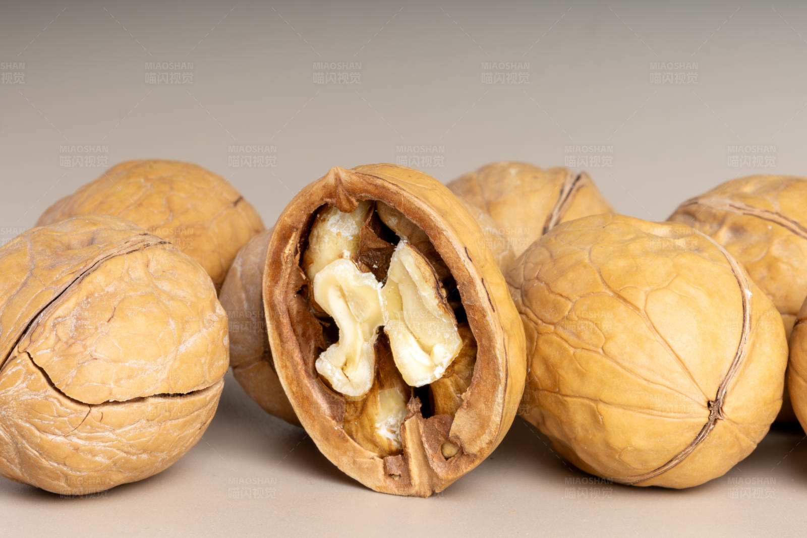 核桃的内外世界图片