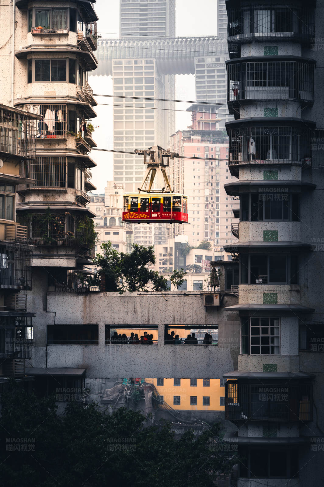 重庆白象居图片