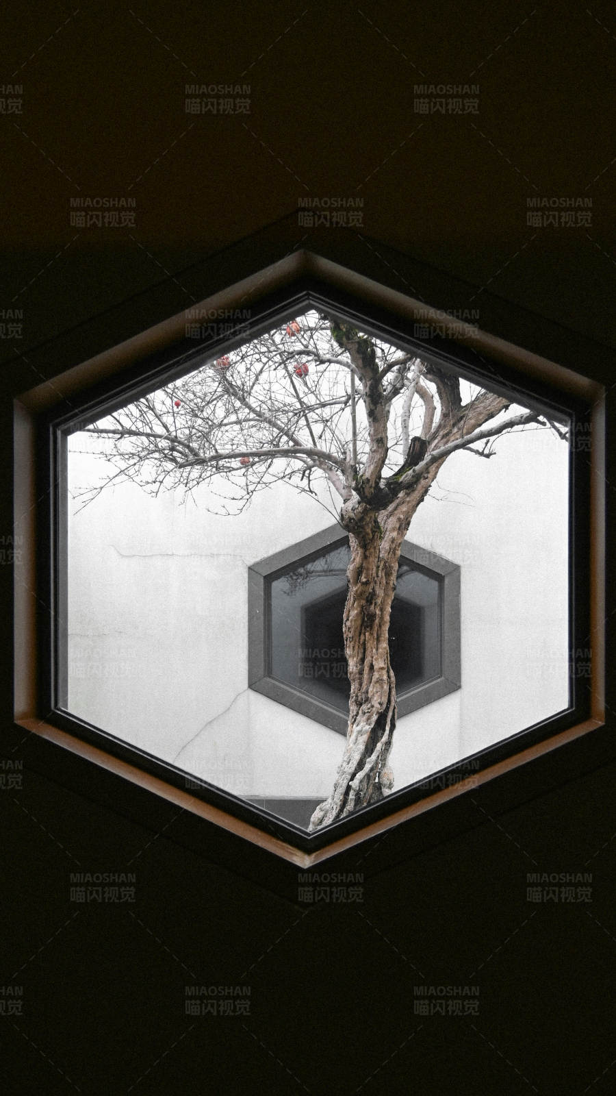 六角窗中的树影图片