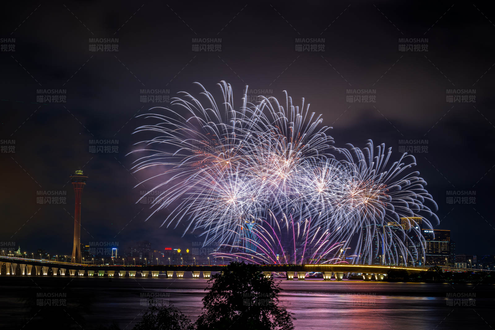 夜空下的烟花盛宴图片
