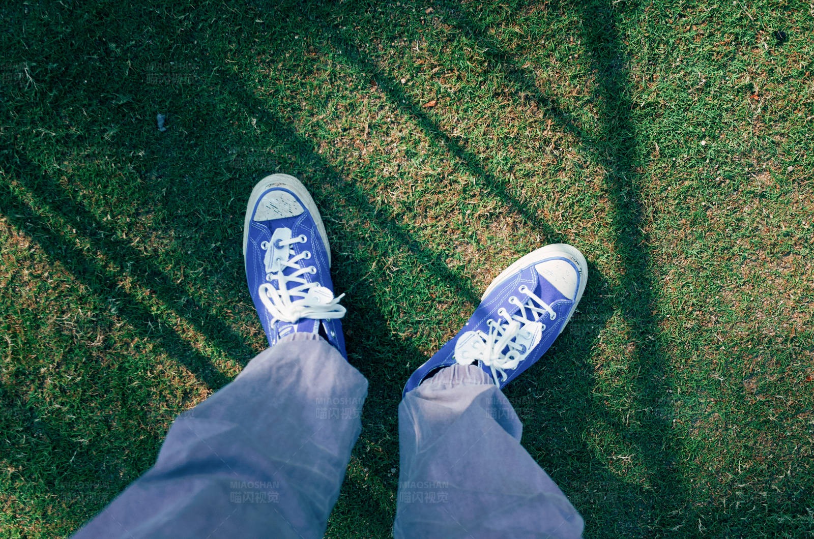 草地上的一双蓝鞋图片