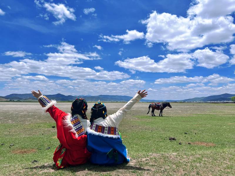 草原上的自由时光图片