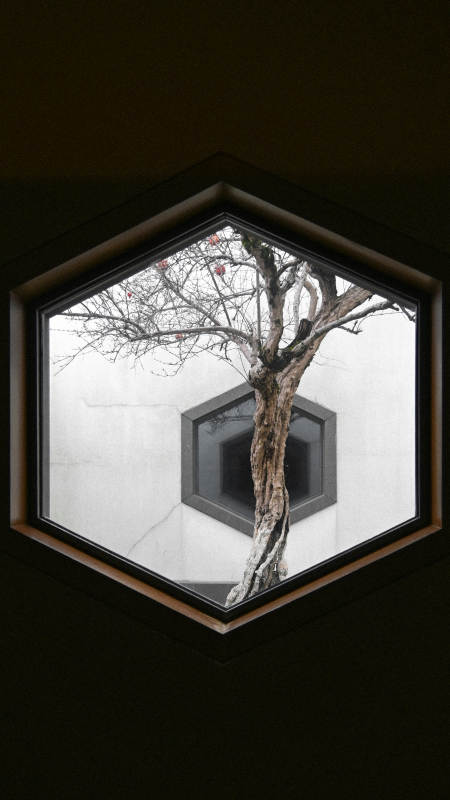 六角窗中的树影图片