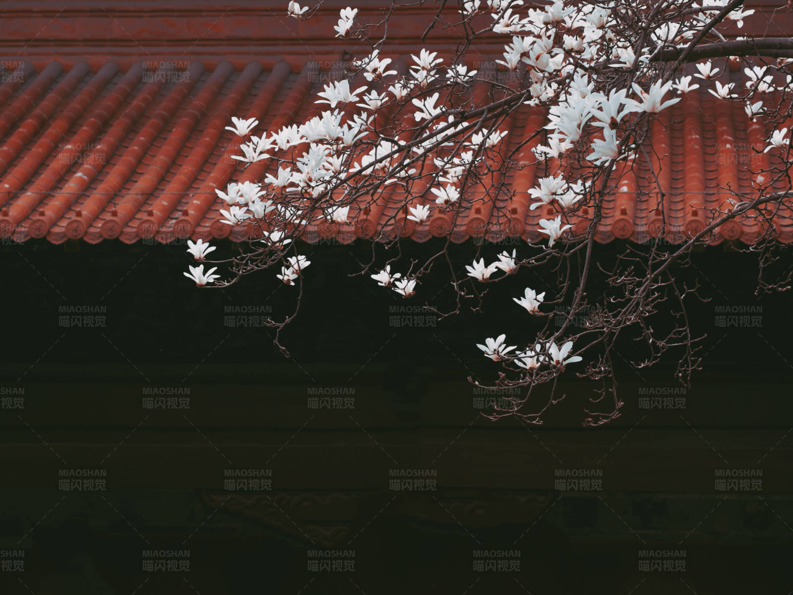 白花红瓦古建筑图片