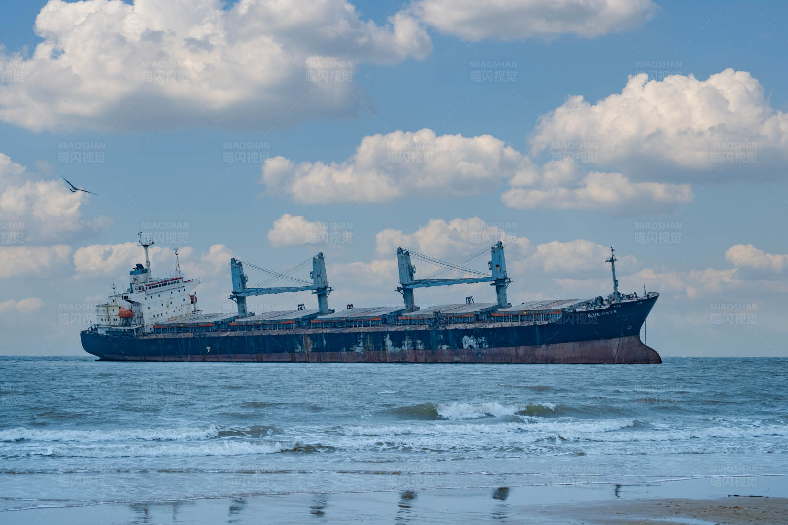 搁浅威海布鲁威斯号图片