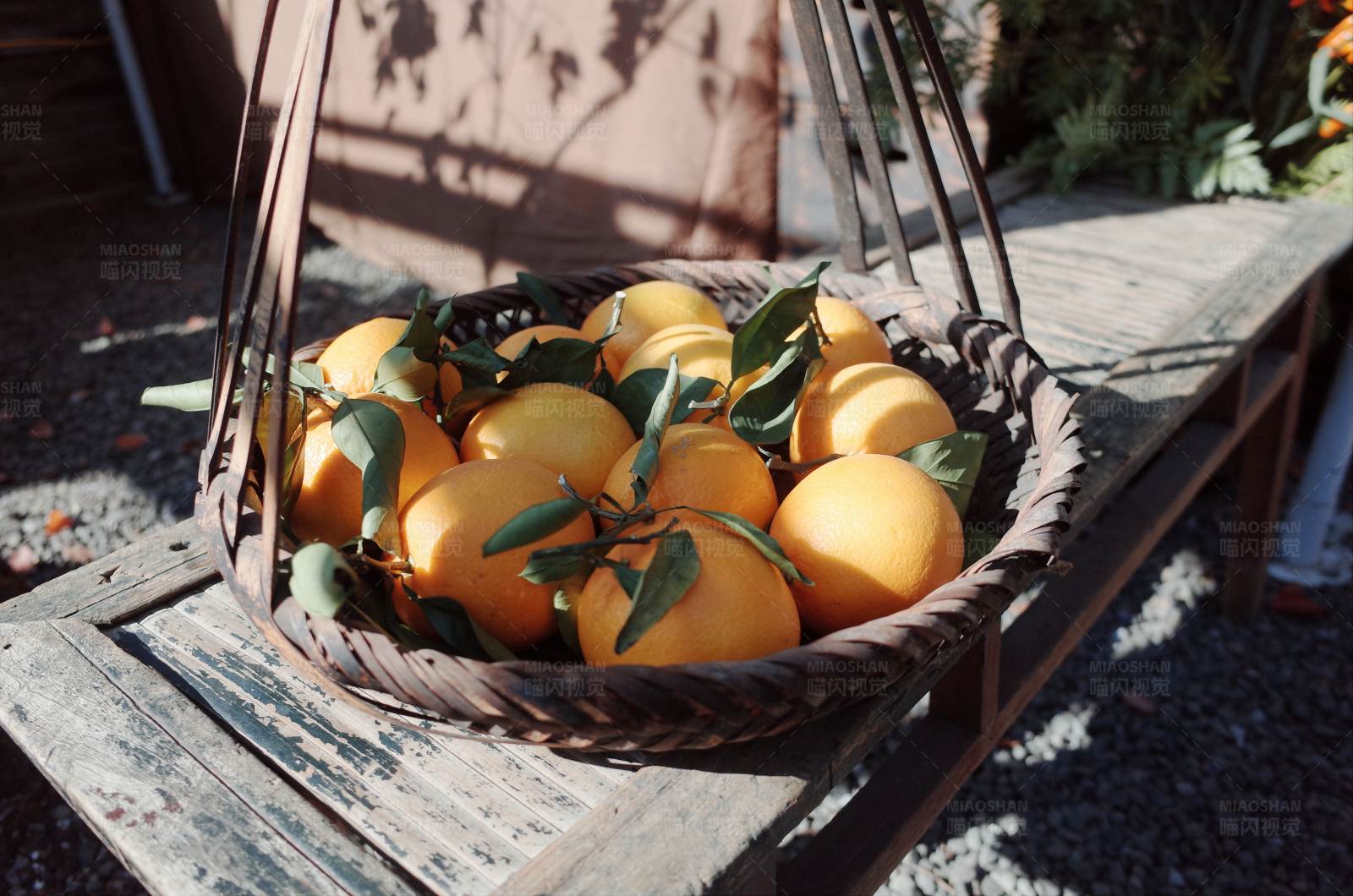 篮子里的橙子图片