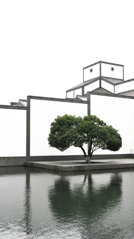 现代园林中的孤独树图片