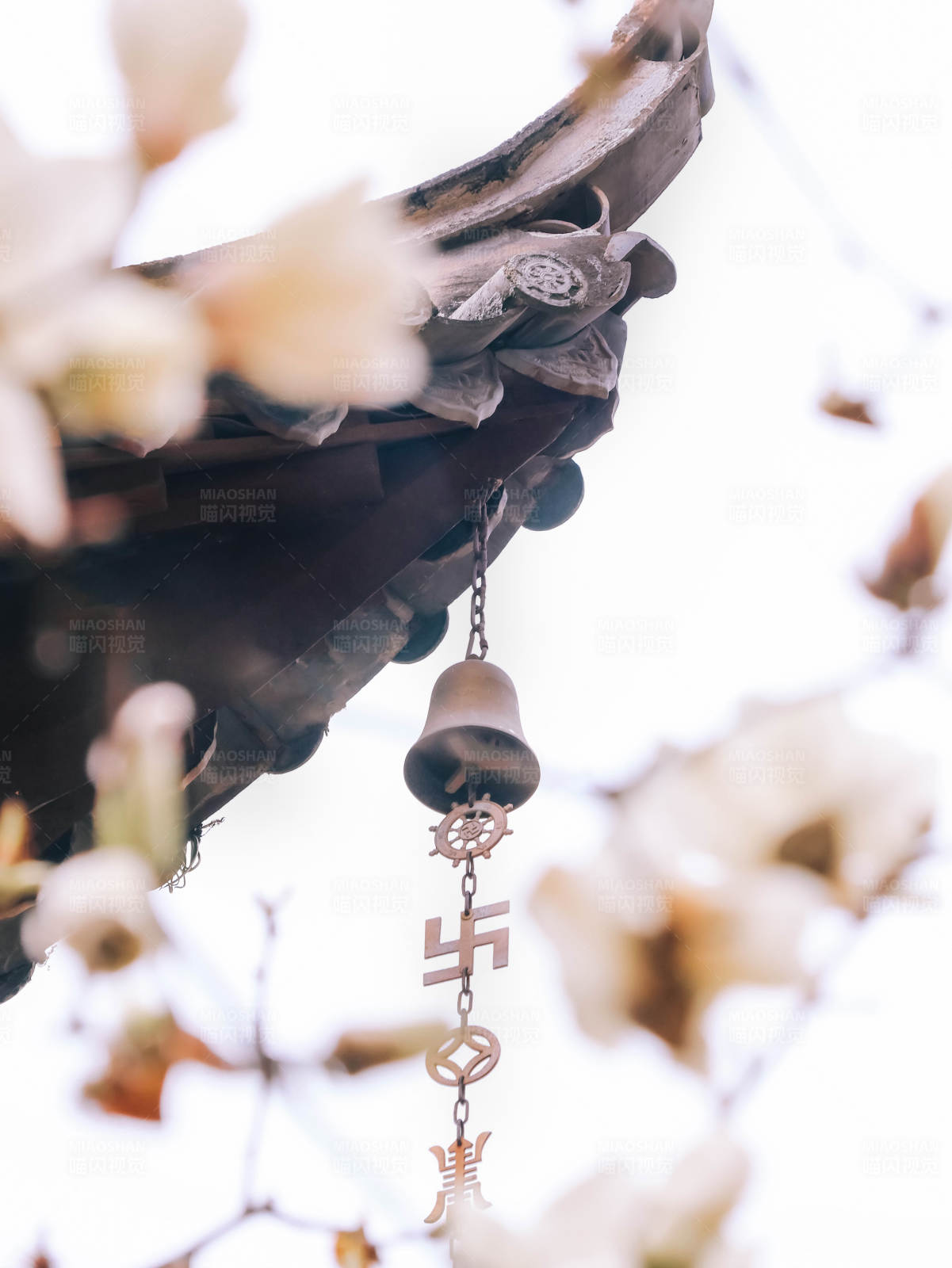 寺庙风铃与玉兰花图片