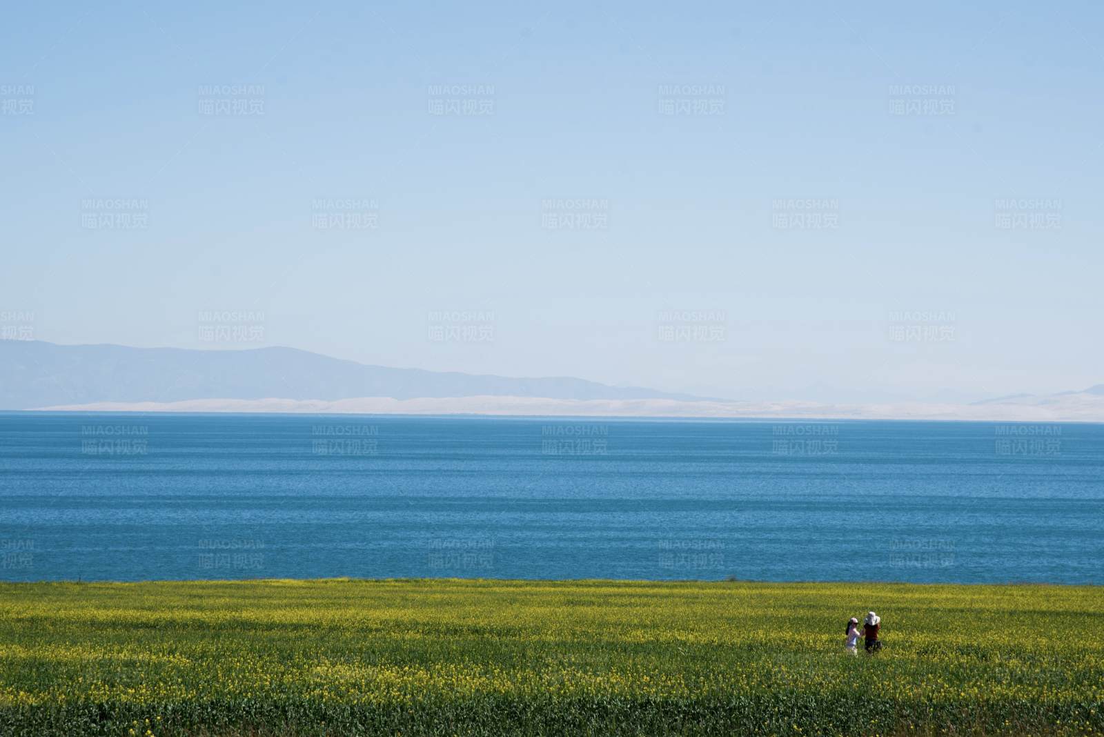 花海、湖面、天空。海天一线图片