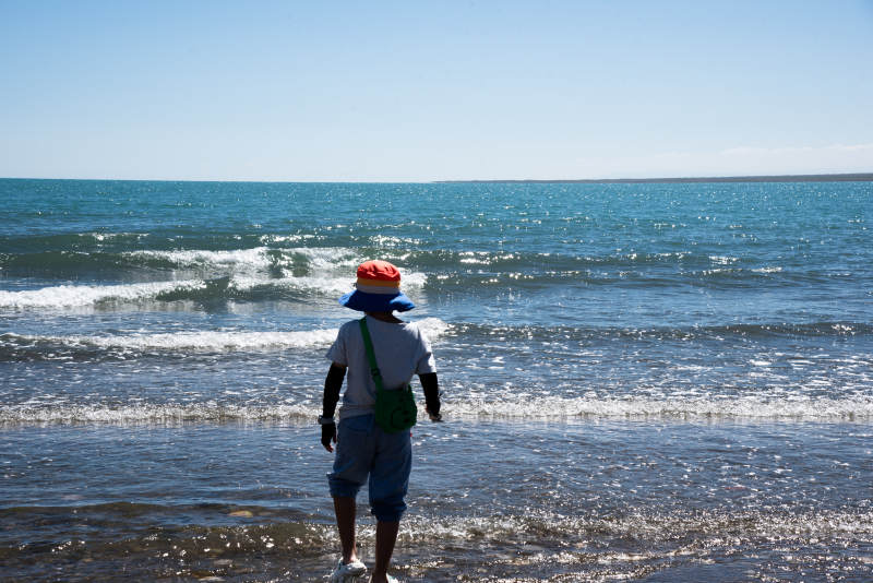 海边独行者图片