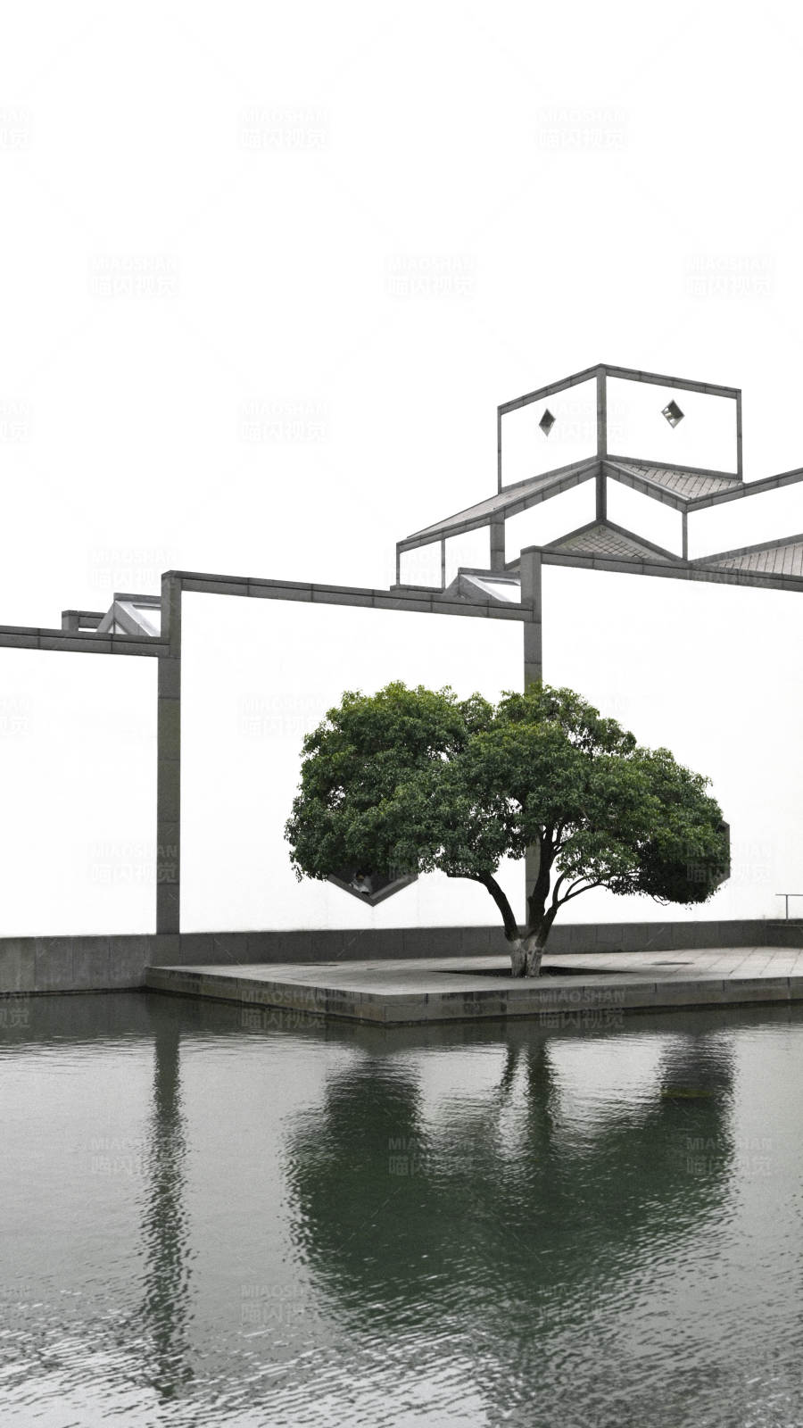 现代园林中的孤独树图片