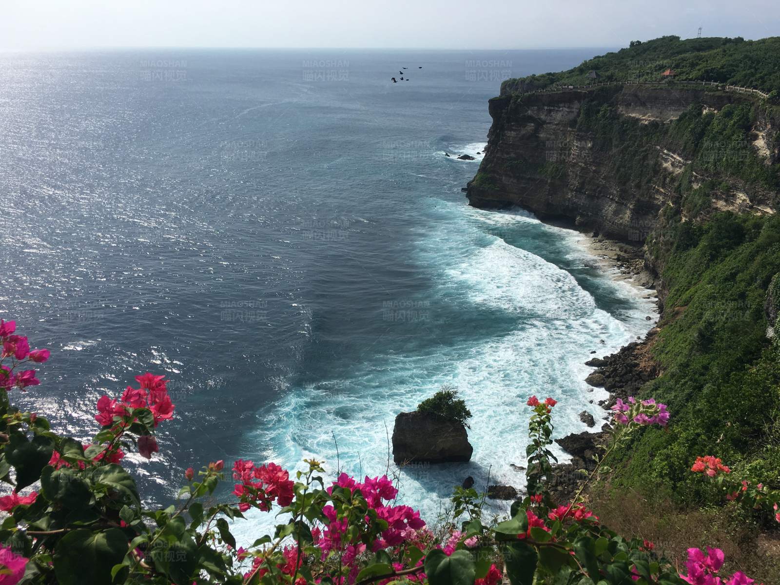 悬崖海景与粉红花朵图片