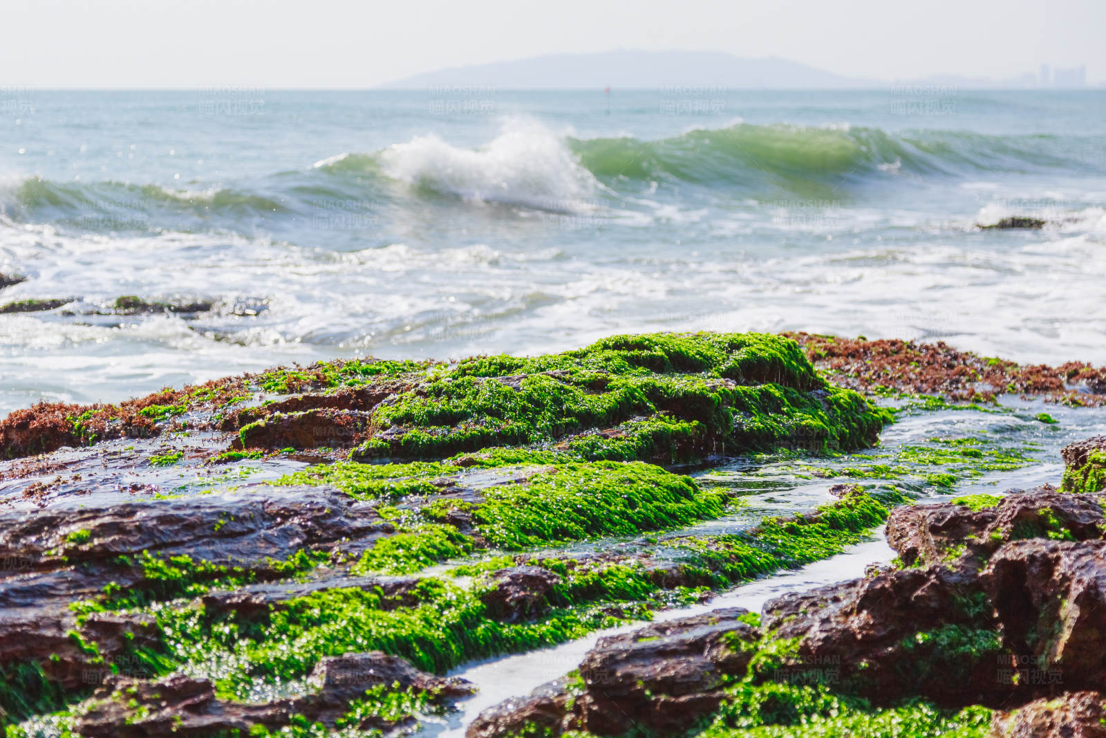 海浪拍打青苔岩石图片