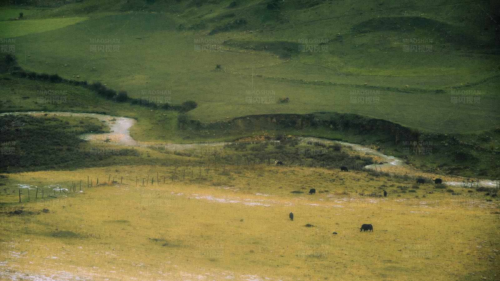 草原上的宁静时光图片