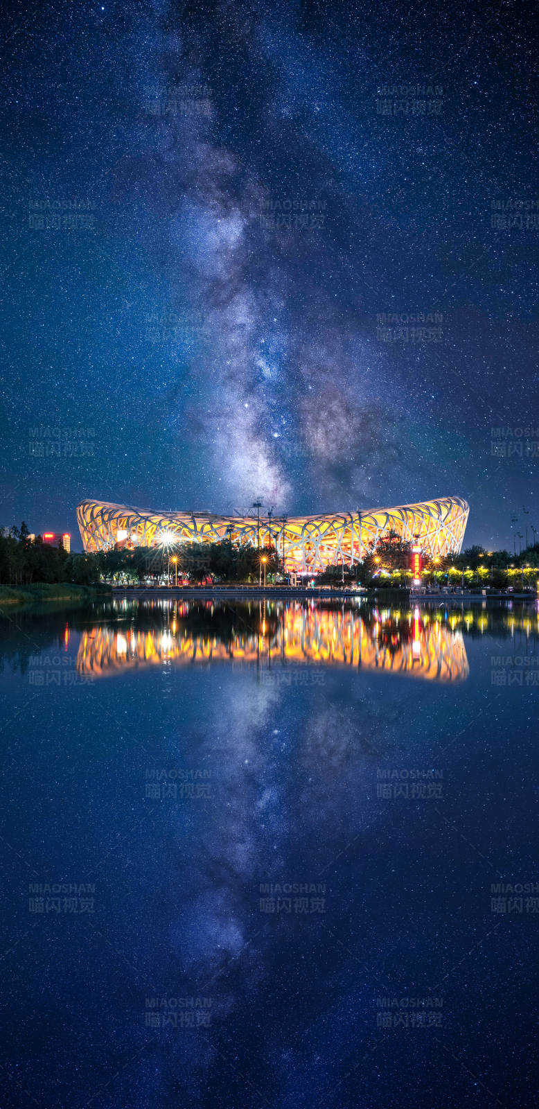 星空下的鸟巢图片