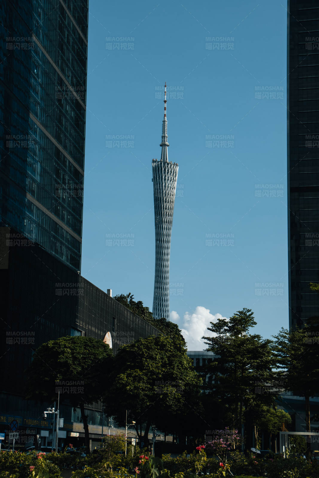 广州塔与现代建筑图片