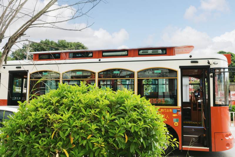 城市公交与绿植图片