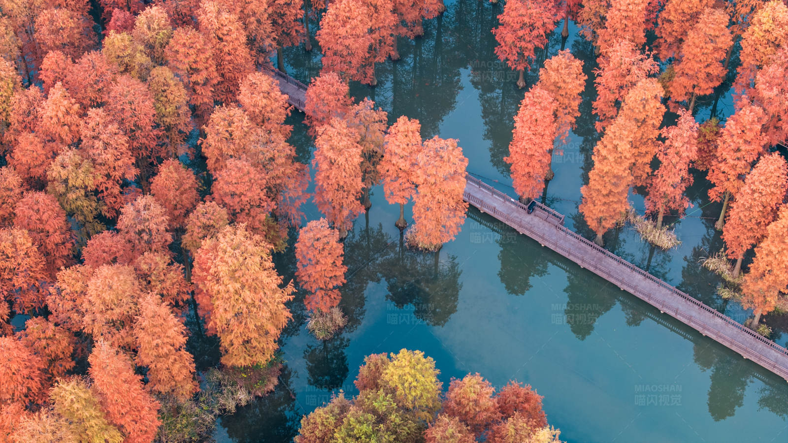 秋林映水 桥连两岸图片