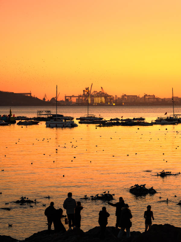 青岛海边夕阳下的剪影图片