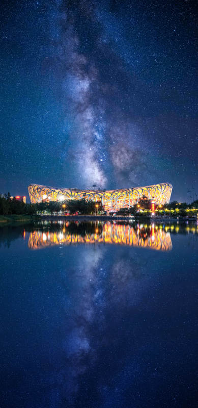 星空下的鸟巢图片