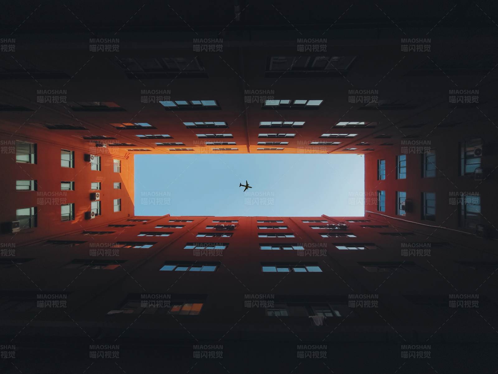 天空中的飞行者图片