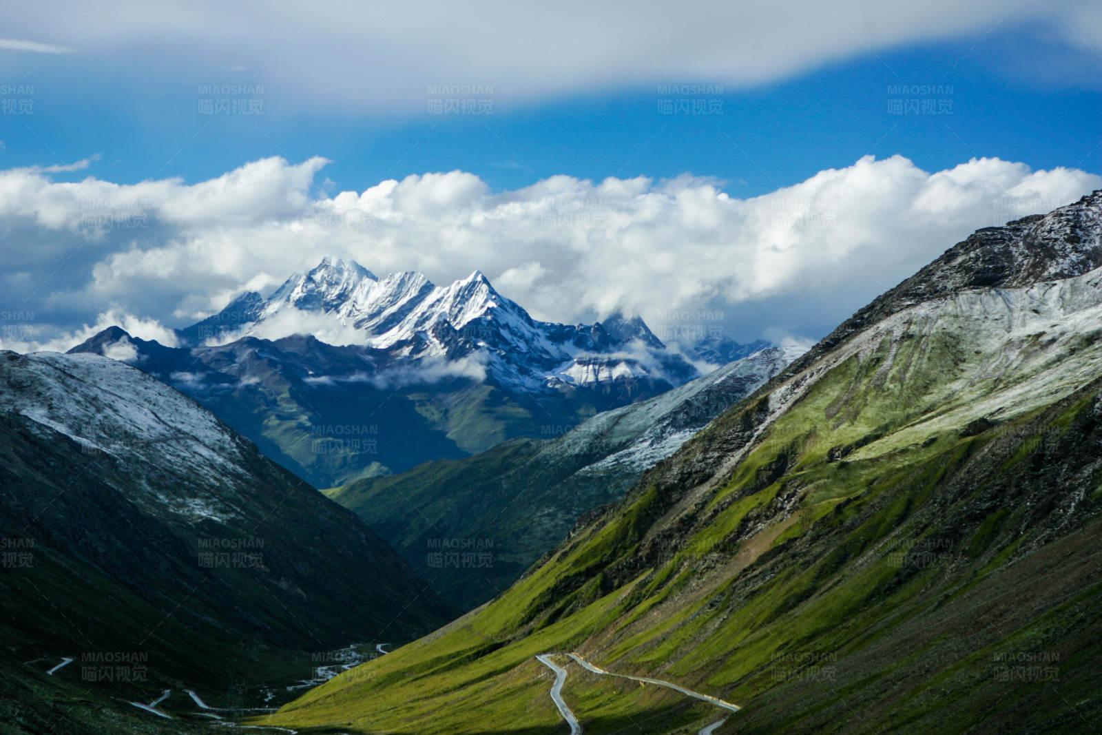 雪山绿谷 云雾缭绕 (四川臥龙山)图片