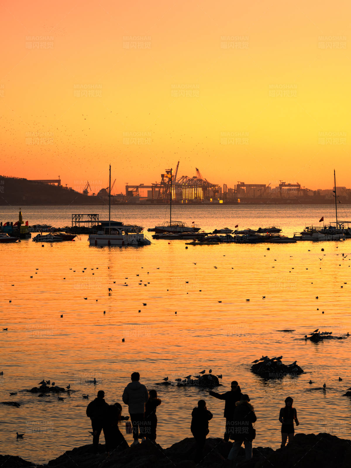 青岛海边夕阳下的剪影图片