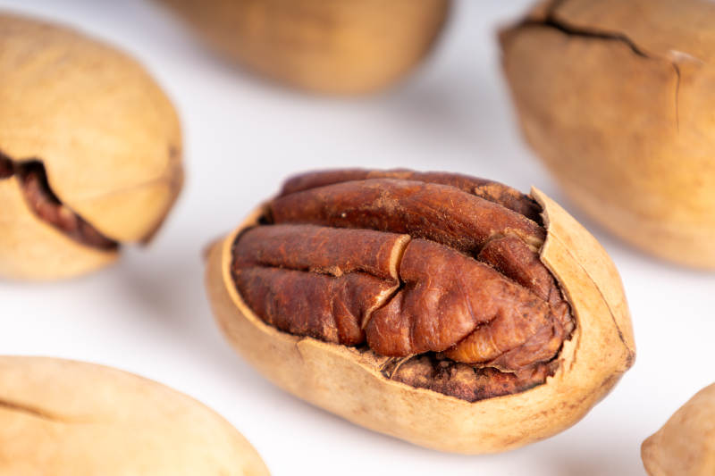 去壳山核桃特写图片