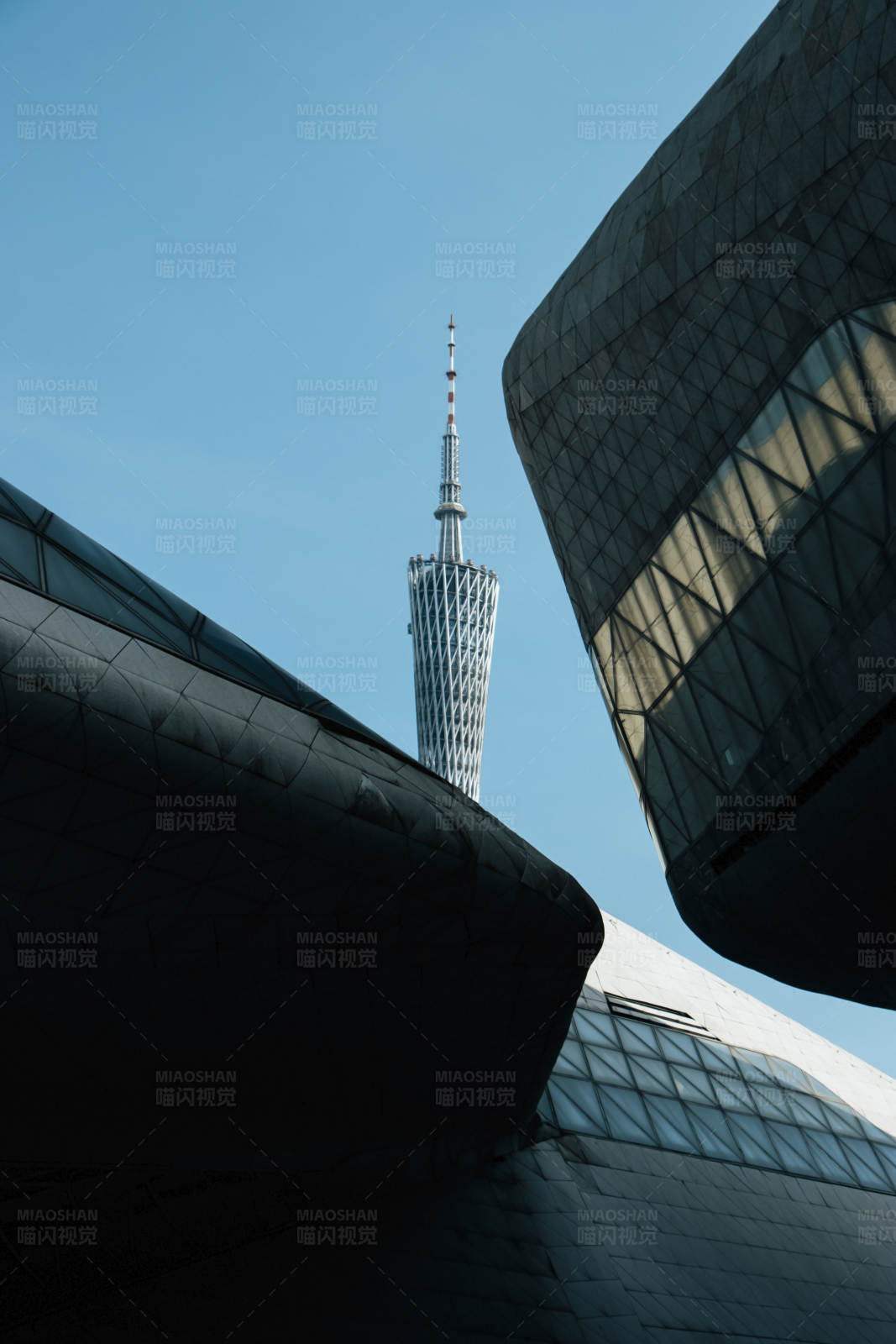 广州塔与现代建筑图片