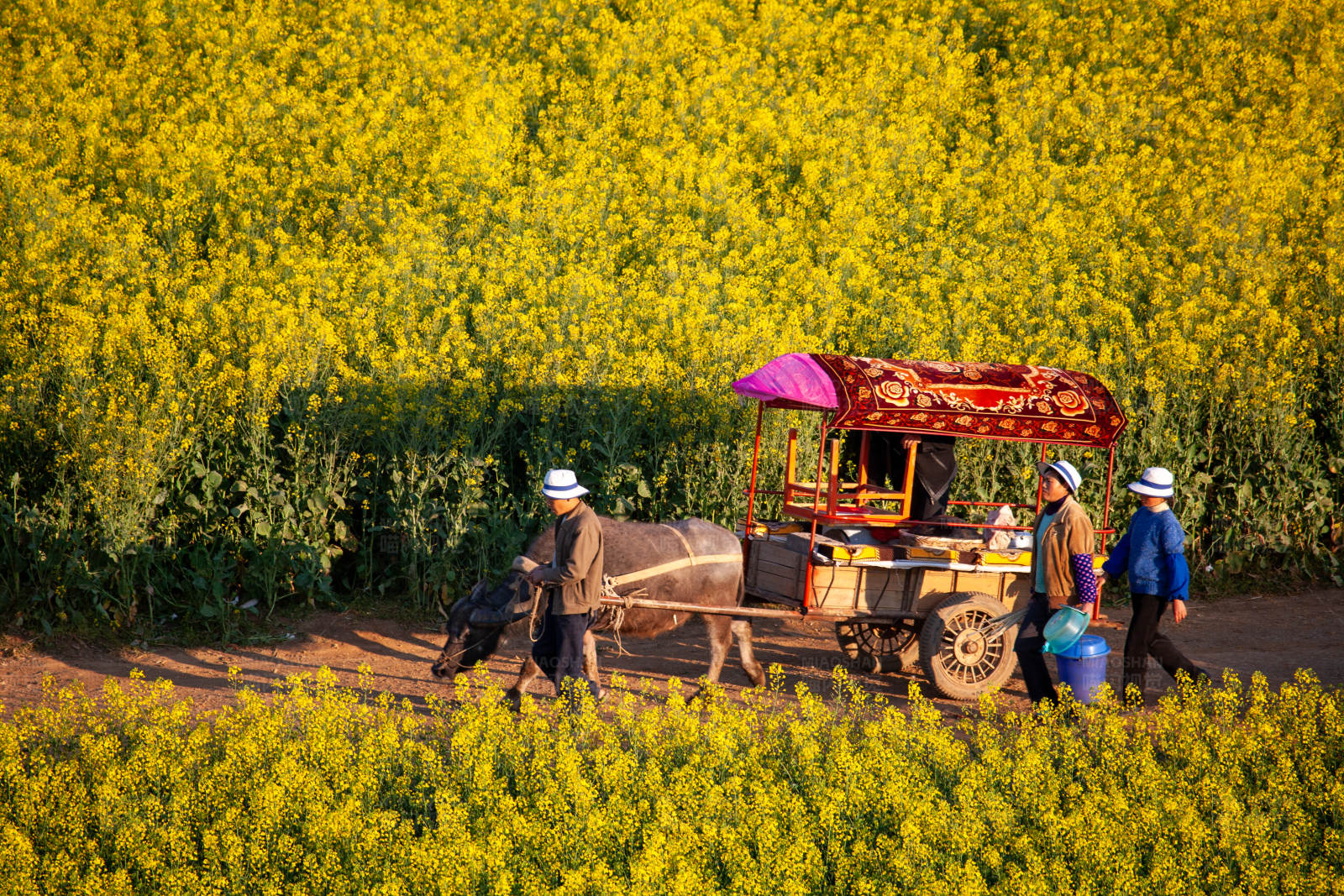 田园风光 农耕生活图片