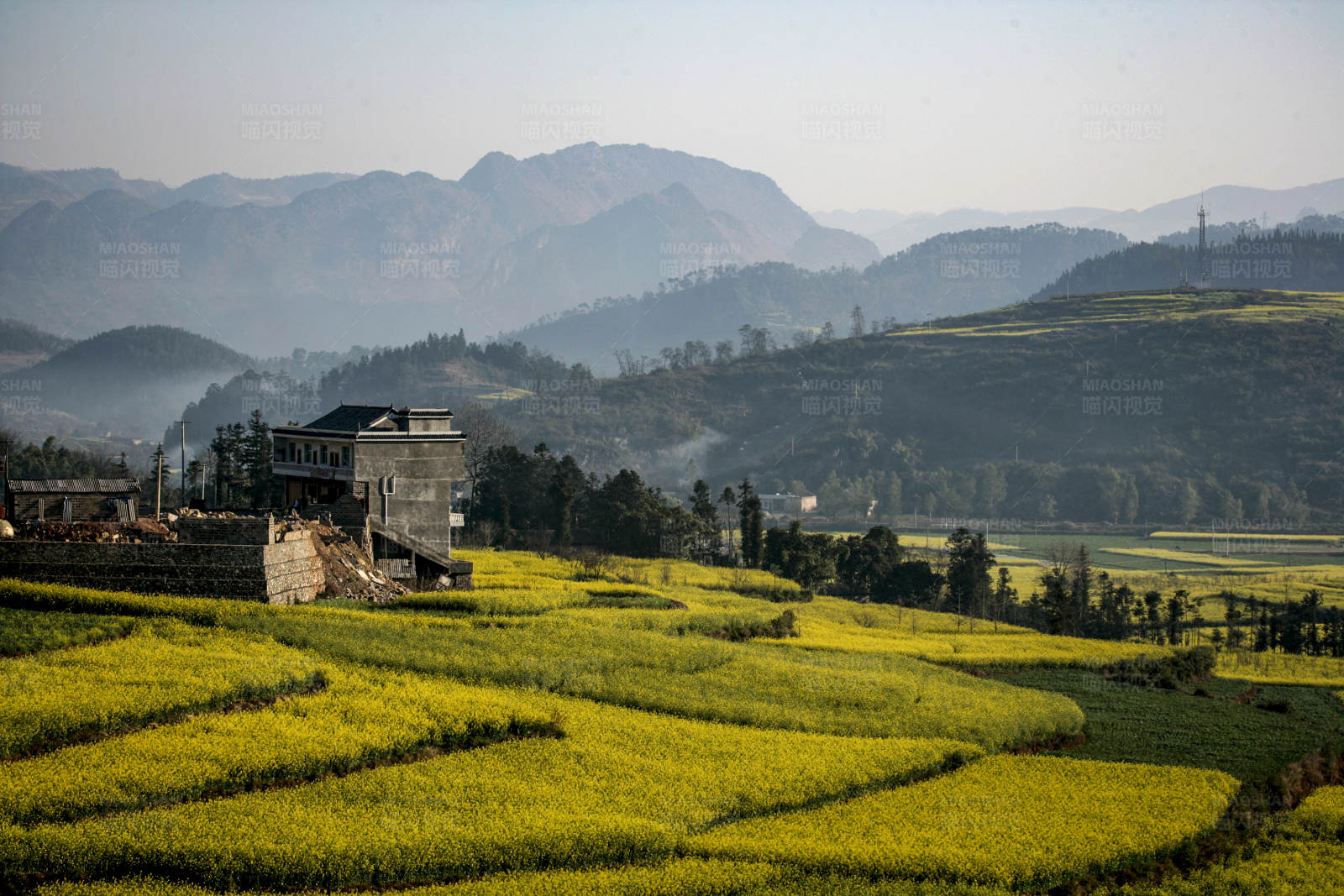 云南罗平山间田园图片