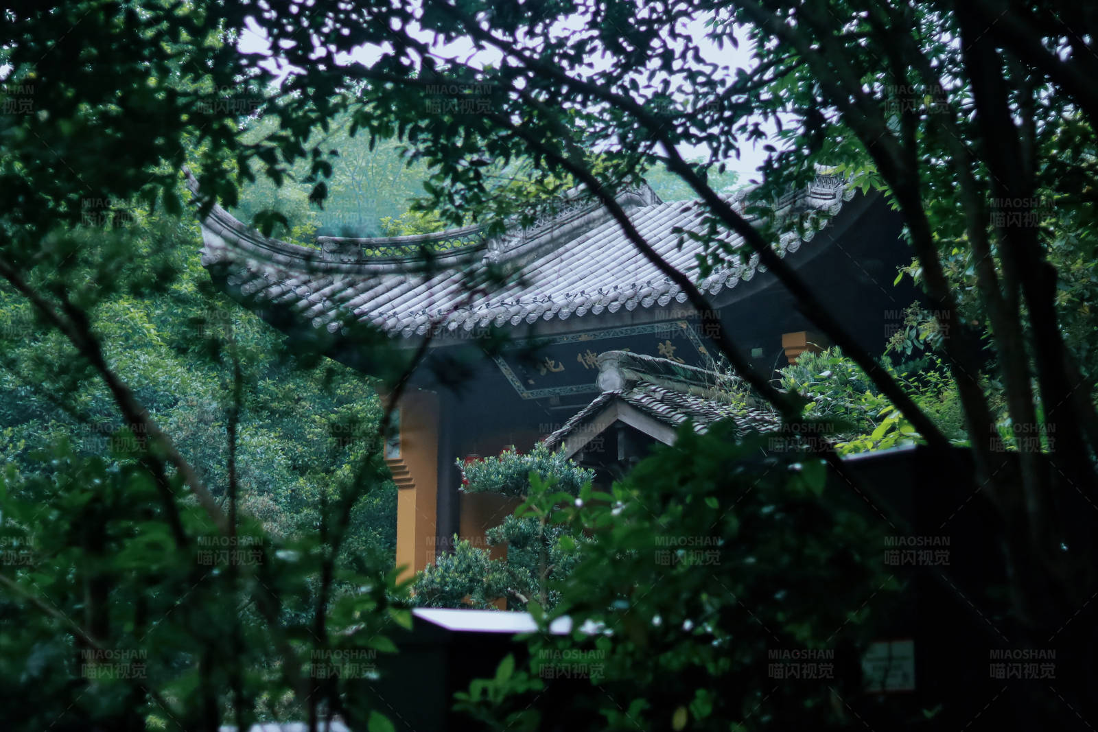 林中古寺隐秘景 灵隐寺图片