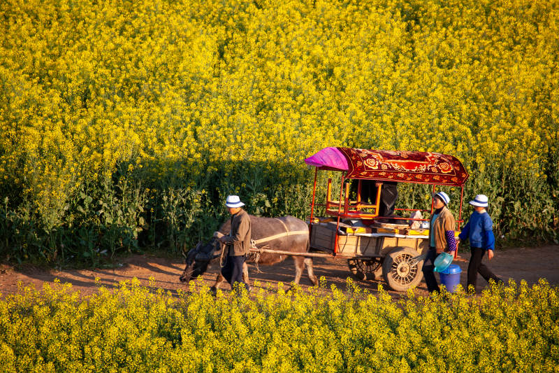田园风光 农耕生活图片